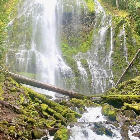 Mckenzie River Mountain Resort Blue River Exteriér fotografie